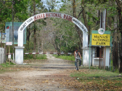 Manas-national-park